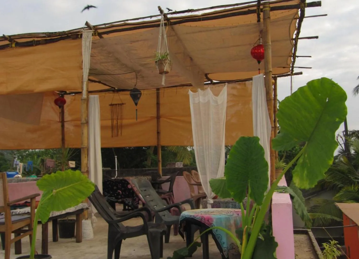 Beachaholic Home Alappuzha Homestay
