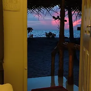 Bliss Alappuzha